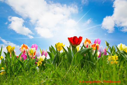 Fotolia_61241446_XS.jpg